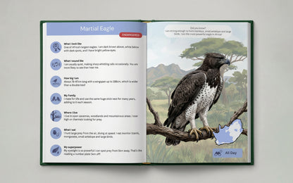 The Feather Friends Field Guide
