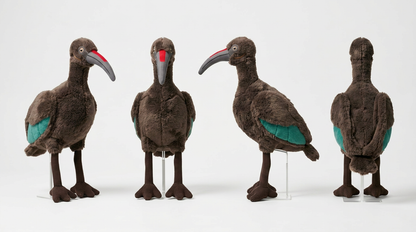 The Hadeda Ibis Plush Toy