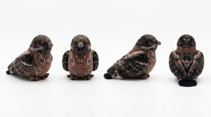 The Fiery-Necked Nightjar