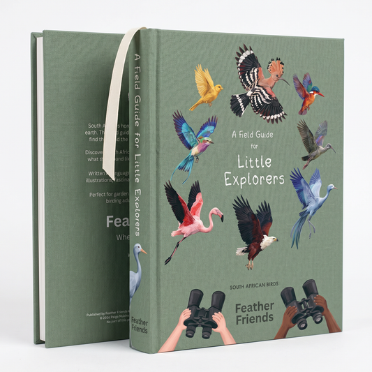 The Field Guide for Little Explorers