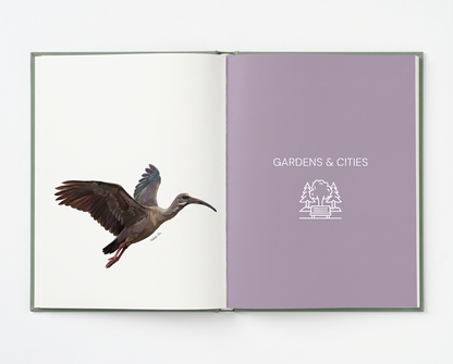The Field Guide for Little Explorers