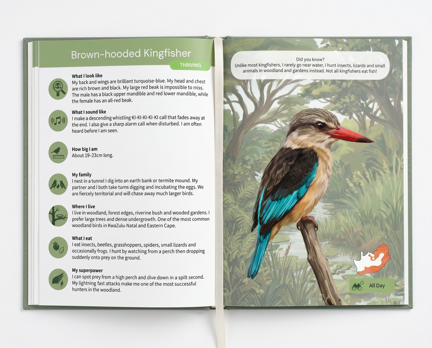 The Field Guide for Little Explorers