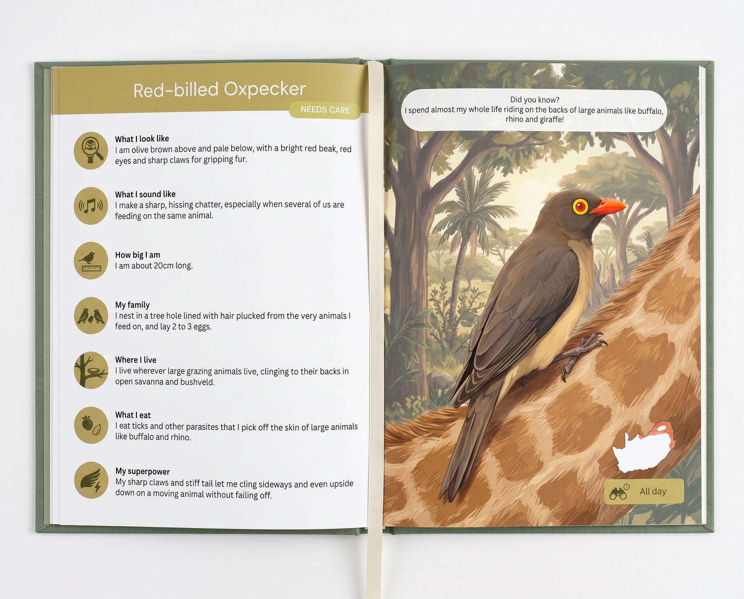 The Field Guide for Little Explorers
